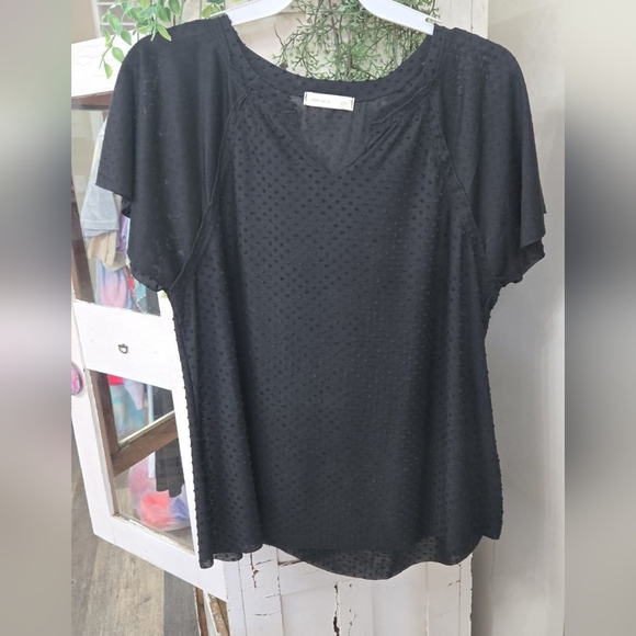 Small Black Boxy Short Sleeve Classic Minimalist Blouse V Neck Relaxed Fit - Picture 2 of 2